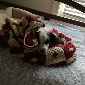 Meet your Posher, Allyson